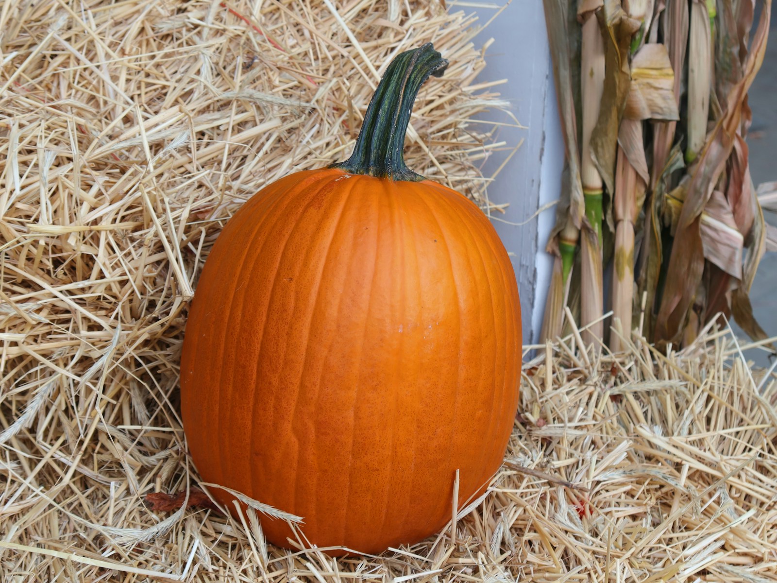 Ma passion pour le bricolage citrouilles : Astuces et Conseils Incontournables !