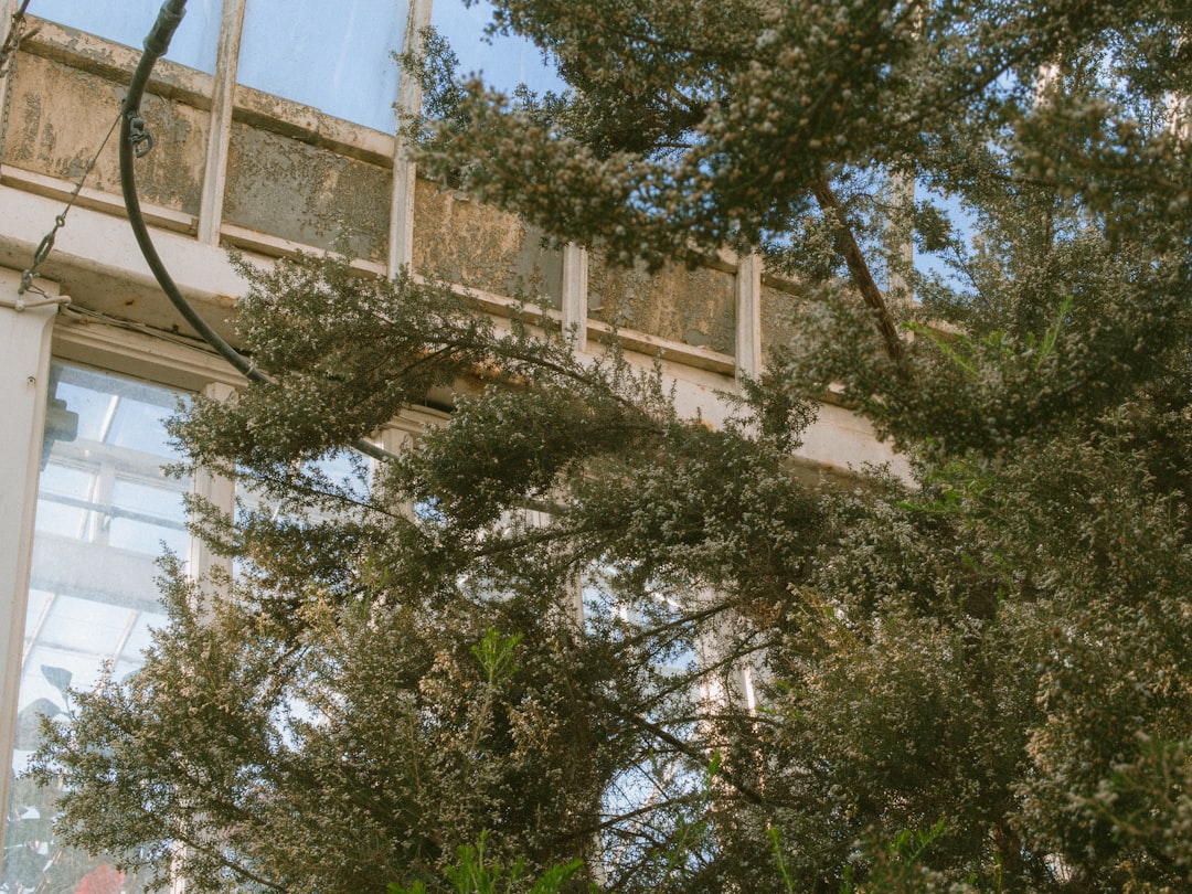 Quel est le prix d&rsquo;une pergola bioclimatique et comment bien estimer votre budget ?